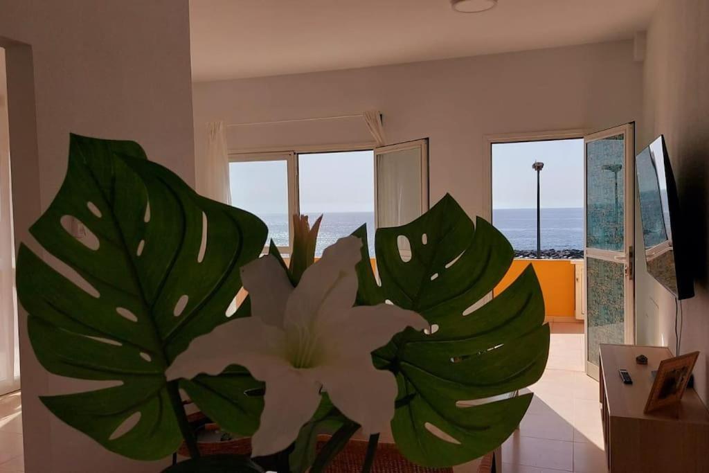 La Marea Baja Apartment Puertito de Guimar Exterior photo